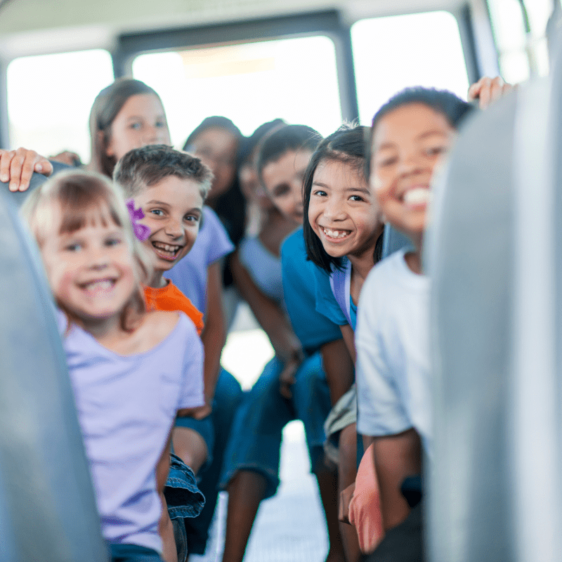 Transporte dresden (10)